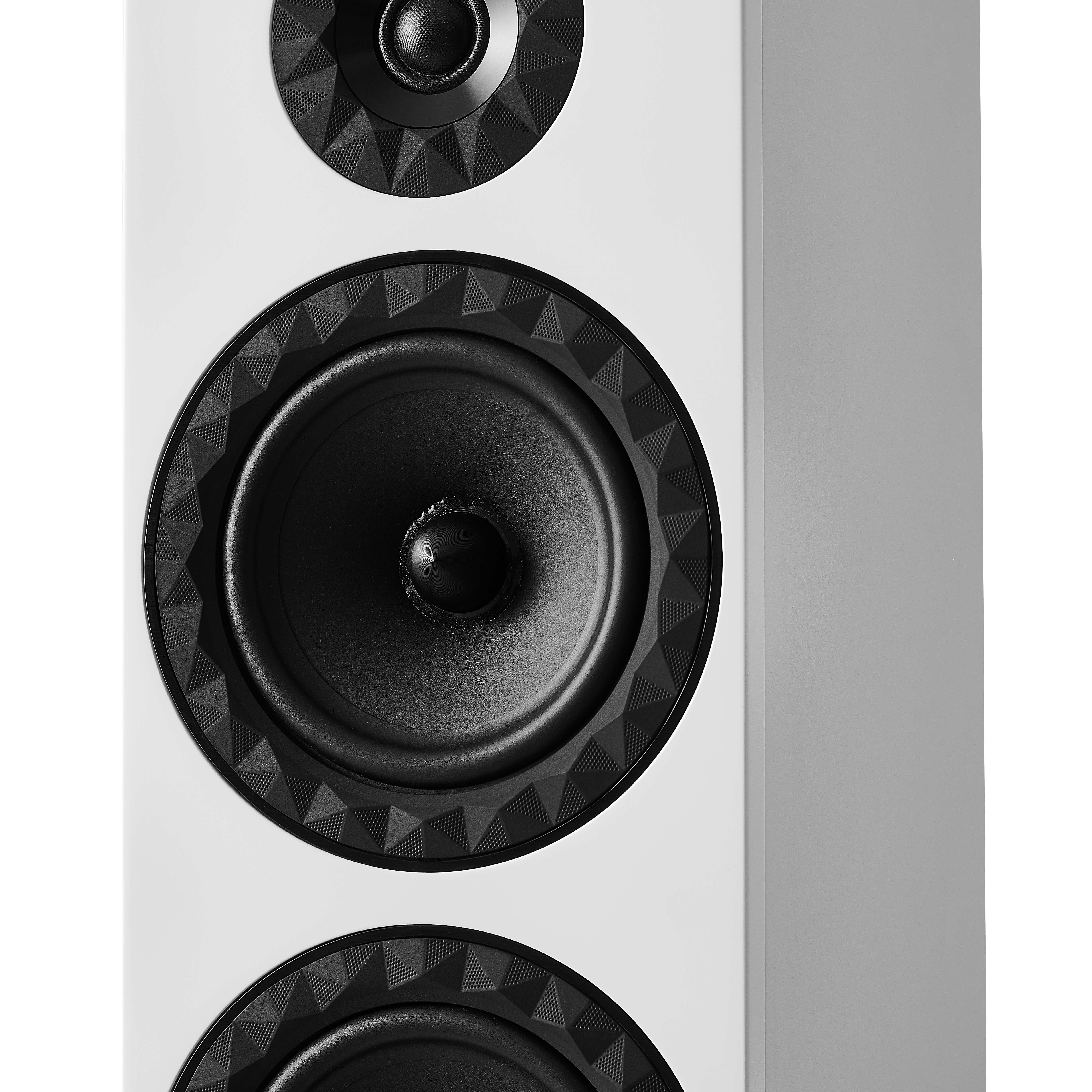 Prestige Facet 14F - Lacquered